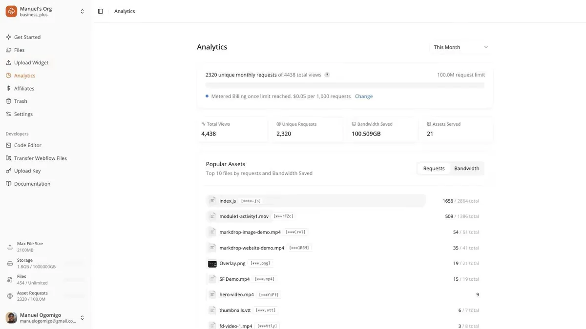 Analytics screen showing total views, unique requests, bandwidth saved and assets served, with a ranked list of popular assets