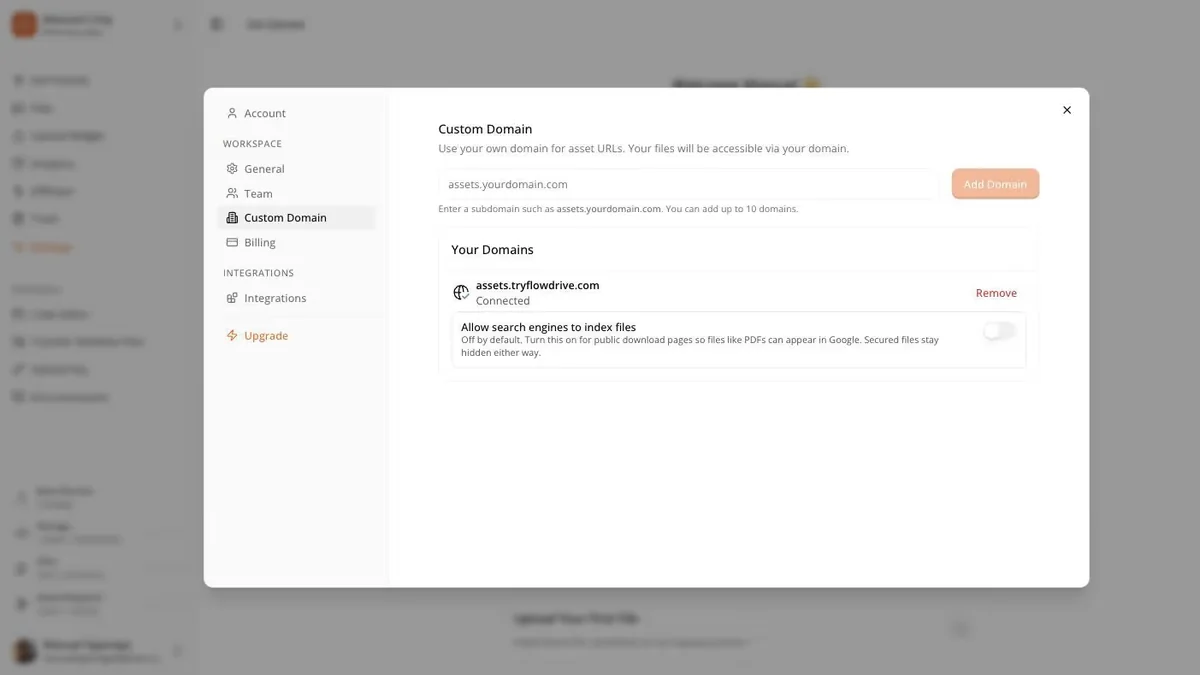 Custom domain settings panel showing a connected assets subdomain and a toggle controlling whether search engines may index files