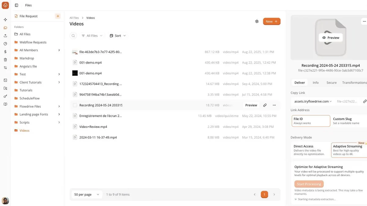 A selected video file with its Deliver panel open, showing link address, file ID, custom slug and delivery mode
